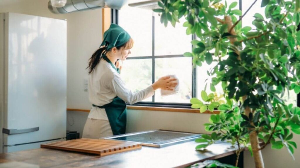 キッチンの窓掃除をするクリーニング業者の女性