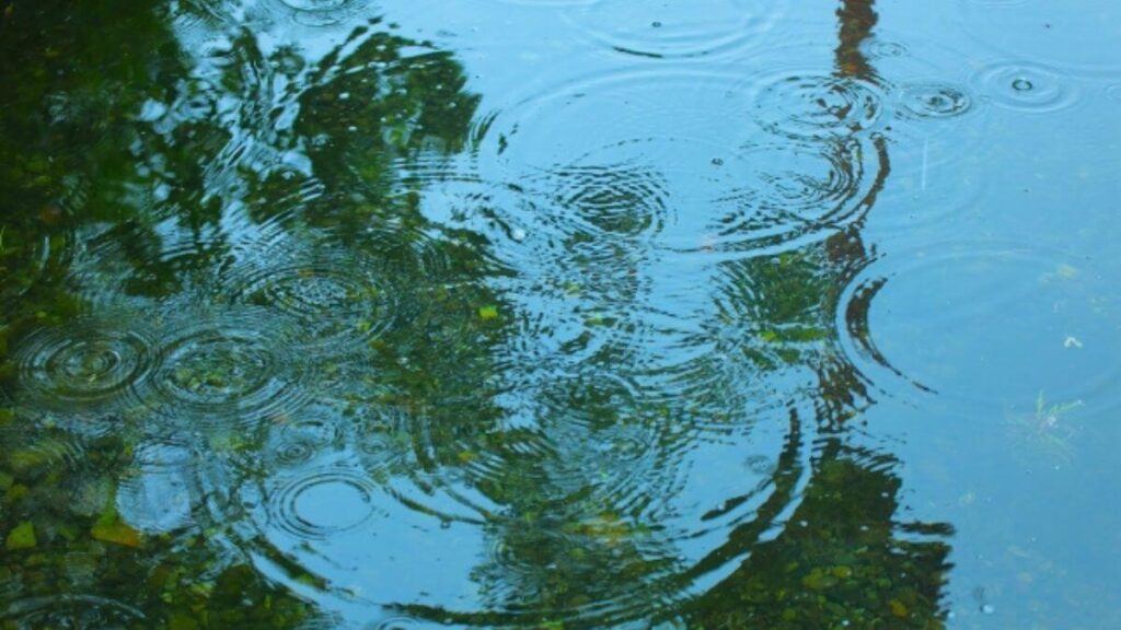 雨の日の道路に落ちる雨粒